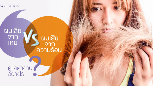 ผมเสียจากเคมี vs ผมเสียจากความร้อน ดูแลต่างกันอย่างไร?