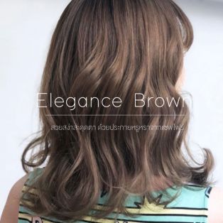 Elegance Brown สวยสง่าสะดุดตา ด้วยประกายหรูหราจากแซฟไฟร์