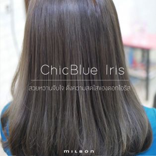 ChicBlue Iris สวยหวานจับใจ ดั่งความสดใสของดอกไอริส