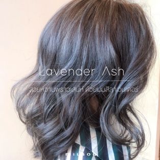 Lavender Ash สวยหวานพราวเสน่ห์ ด้วยผมสีลาเวนเดอร์แอช