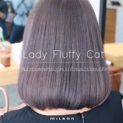 Lady Fluffy Cat สีผมสวยซอฟท์ละมุนหม่น ดั่งขนแมวน้อยบริติช