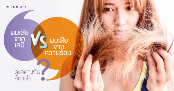 ผมเสียจากเคมี vs ผมเสียจากความร้อน ดูแลต่างกันอย่างไร?