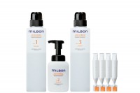 milbon ANTI-FRIZZ Salon Treatment