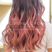 Cardinal Ombre ผมสีส้มอมชมพูร้อนแรง โดดเด่นเหมือนขนนกคาร์ดินัล