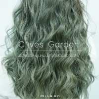 Olives Garden สีผมสวยโทนเขียวหม่น เปรียบดั่งความละมุนของสวนดอกโอลีฟ