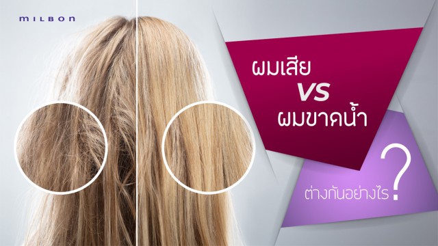 ผมเสีย กับ ผมขาดน้ำ ต่างกันอย่างไร?