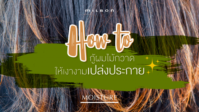 How To กู้ผมไม้กวาด ให้เงางามเปล่งประกาย ด้วย milbon MOISTURE