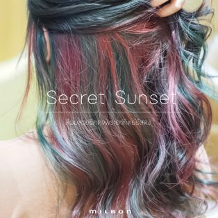 Secret Sunset สีผมสวยสุดชิค ดุจพระอาทิตย์อัสดง