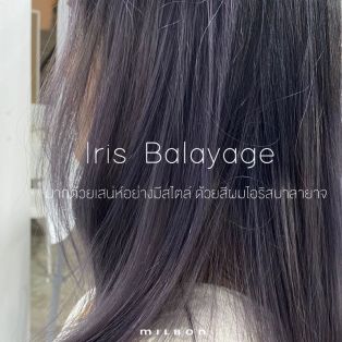 Iris Balayage  มากด้วยเสน่ห์อย่างมีสไตล์ ด้วยสีผมไอริสบาลายาจ