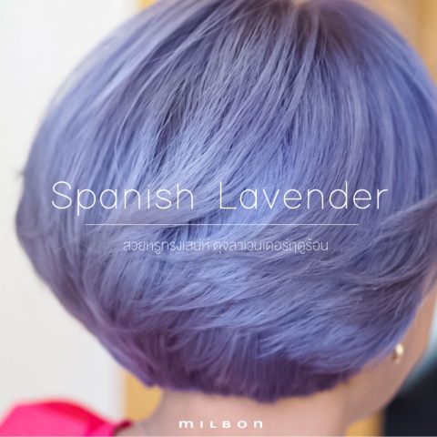 Spanish Lavender สวยหรูทรงเสน่ห์ ดุจลาเวนเดอร์ฤดูร้อน
