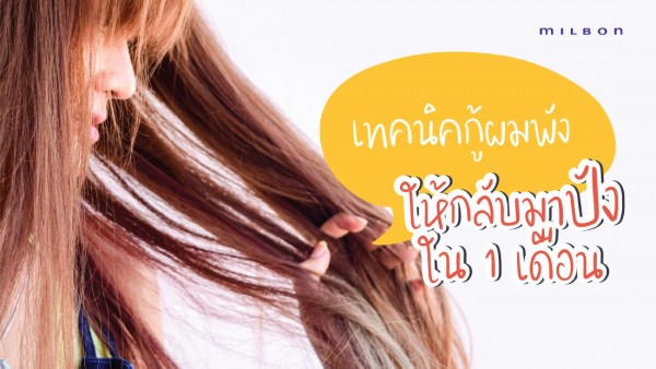 เทคนิคกู้ผมพัง ให้กลับมาปังใน 1 เดือน!!!